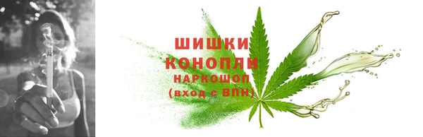 тгк Новозыбков