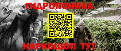2c-b Гусь-Хрустальный