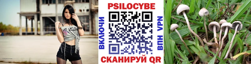 купить наркотики сайты  Горячий Ключ  МЕГА ссылки  Галлюциногенные грибы GOLDEN TEACHER 