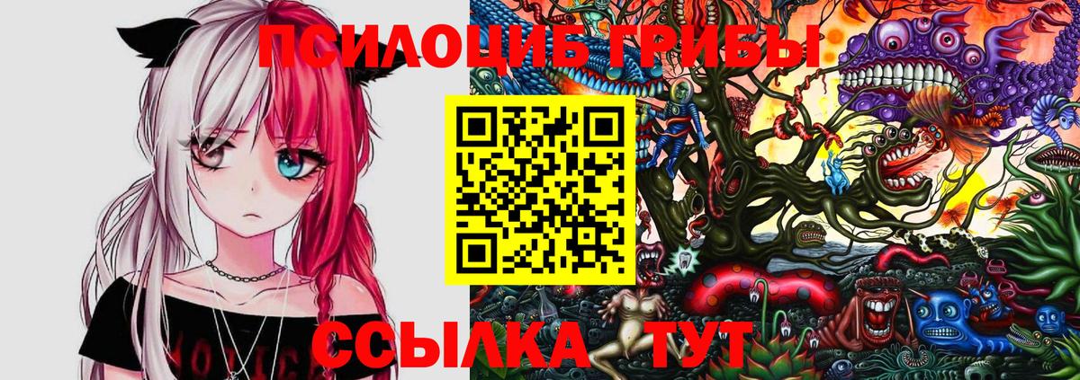 хочу наркоту  Галлюциногенные грибы Psilocybe  Галлюциногенные грибы мицелий  Вход с VPN  Горячий Ключ 