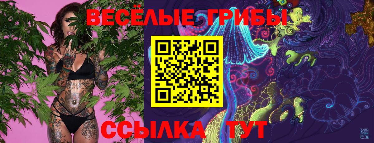 Псилоцибиновые грибы Cubensis  Горячий Ключ 